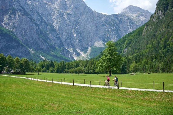 MOZIRSKI GAJ – LOGARSKA DOLINA - 1 dan autobusom