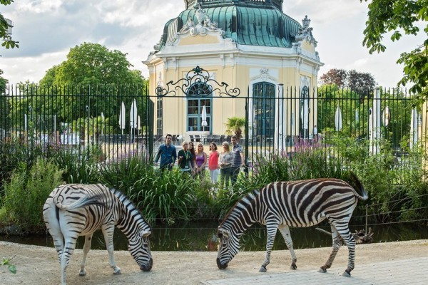 BEČ – Seegrotte & ZOO Schonbrunn - 1 dan autobusom